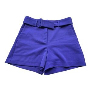 Ann Taylor Purple Belted High Waisted Shorts Women's Size 2 Dressy Work